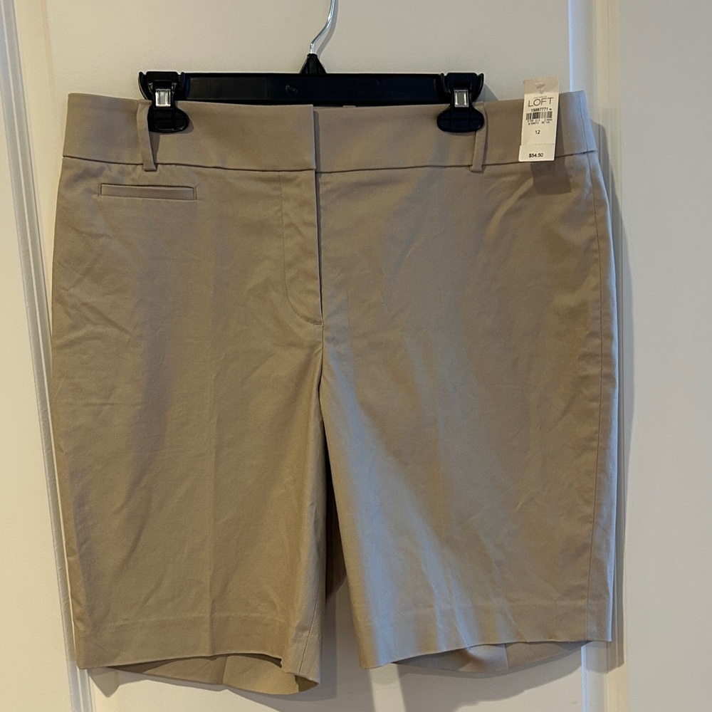Ann Taylor Loft Shorts